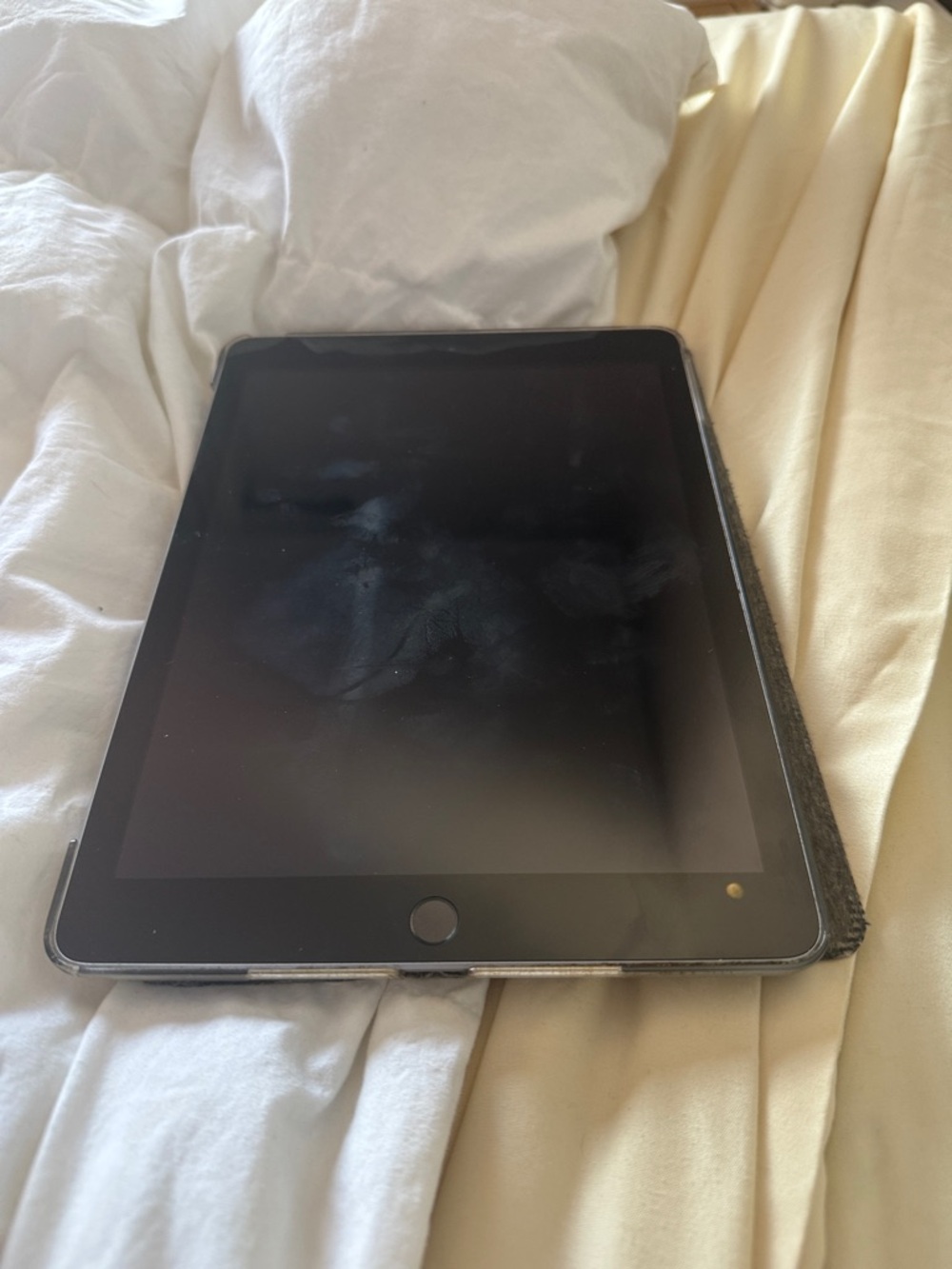 Apple Black Tablet with Black Protective Case